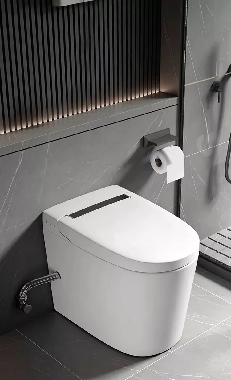  Modern Minimalist Smart Toilet 